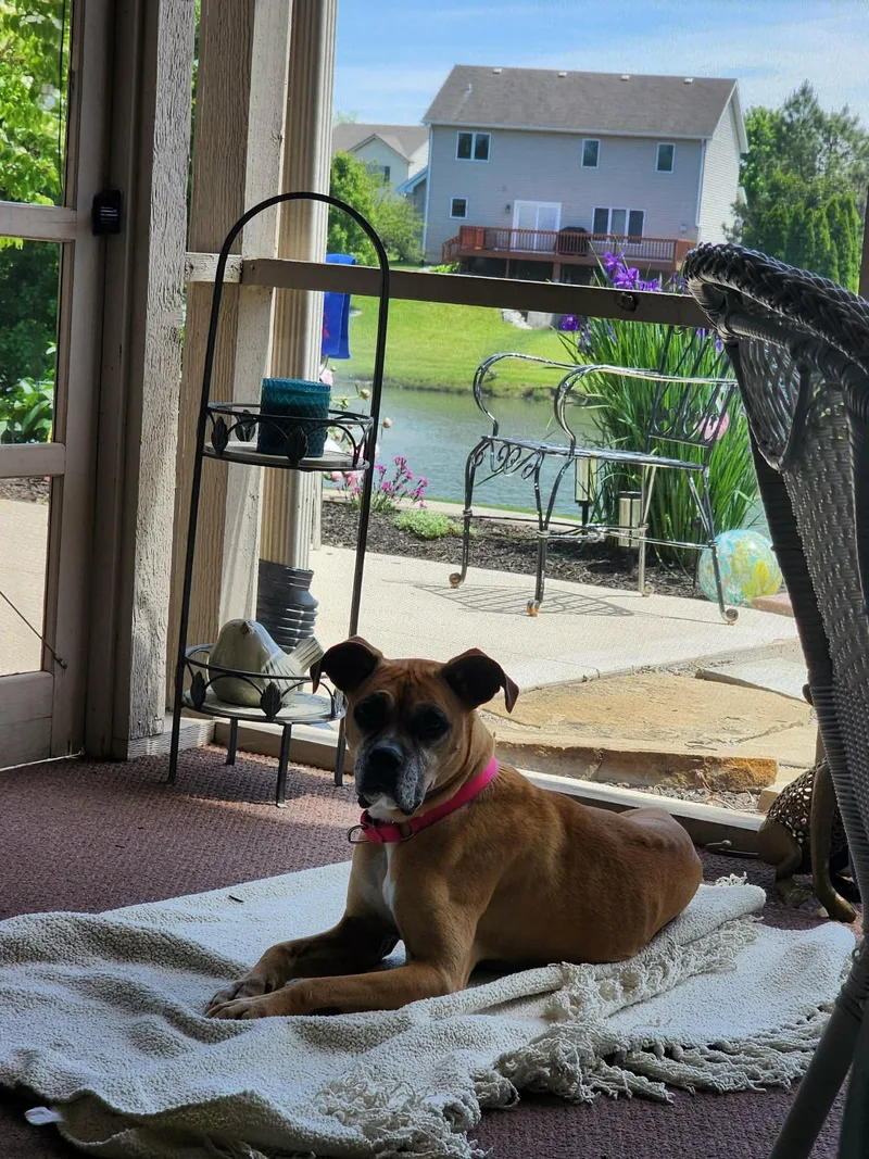 Chloe