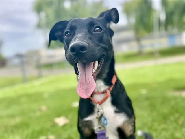 Luna
