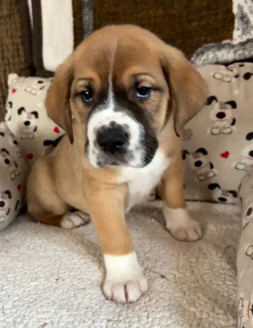 Fleetwood thumbnail 2