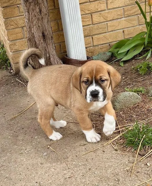 Fleetwood thumbnail 3