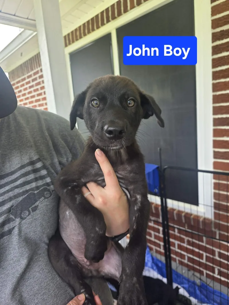 John boy  