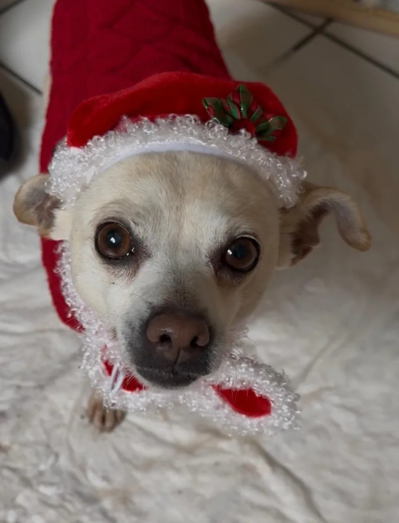 Daisy 🌼 thumbnail 5