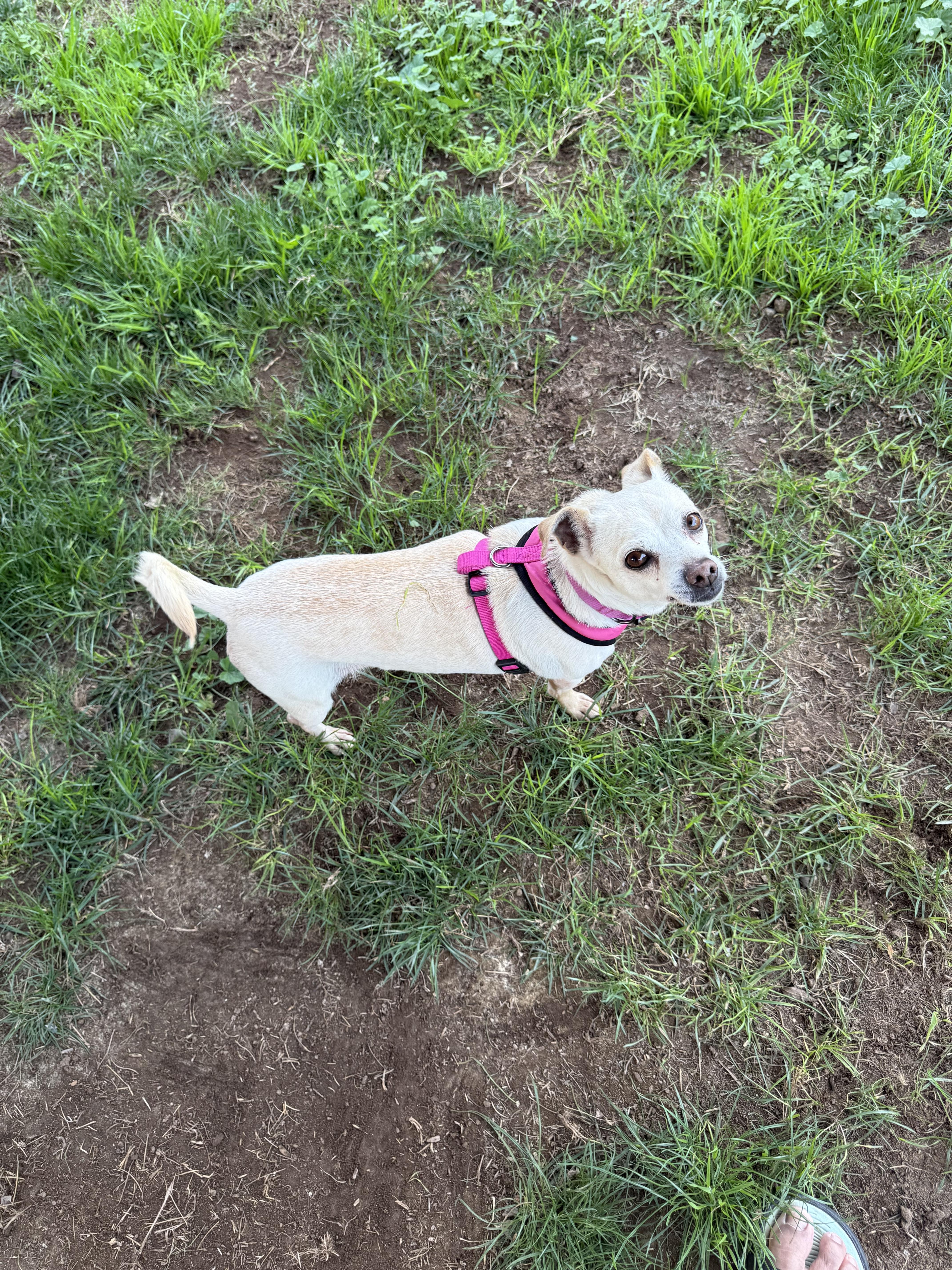 Daisy 🌼 thumbnail 6