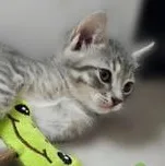 Ashlyn thumbnail 5