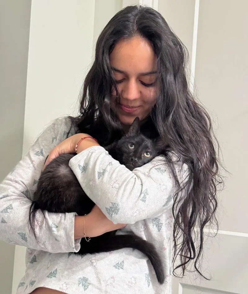 A baby medium-sized male Black Domestic Short Hair cat named Soren for adoption in Reston, VA