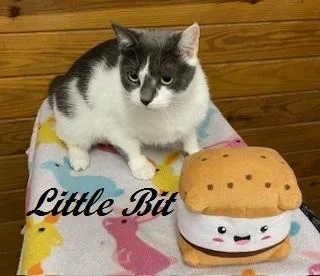 Little Bit thumbnail 2