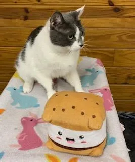 Little Bit thumbnail 3