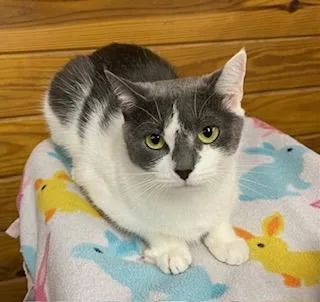 Little Bit thumbnail 4