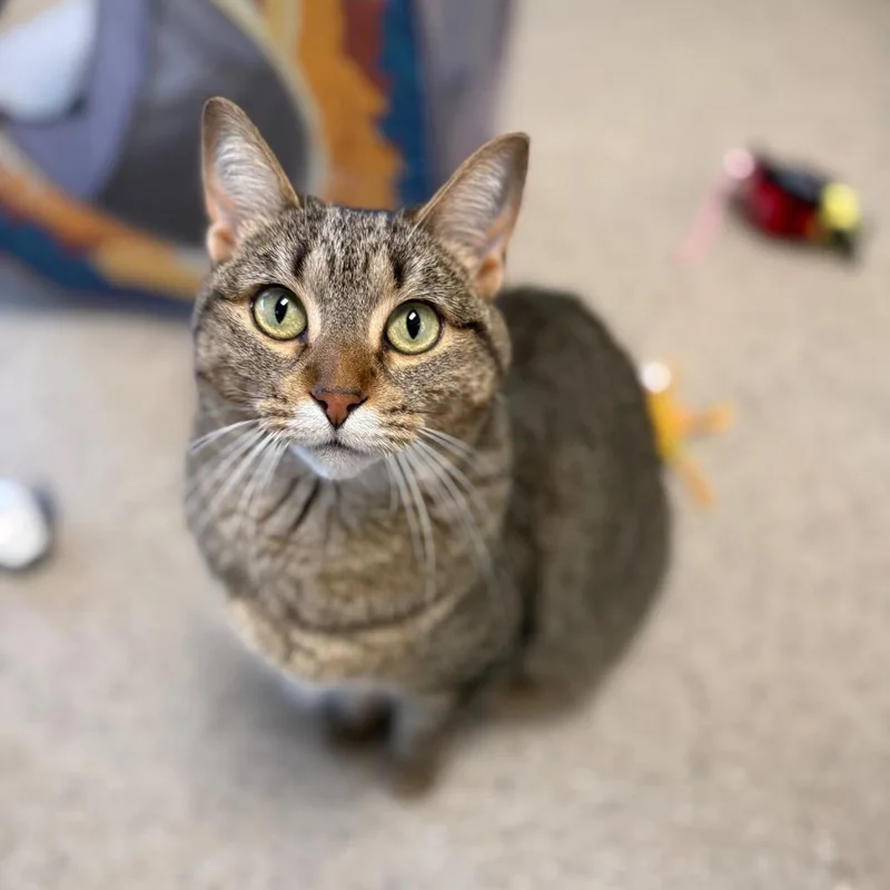 Gabby  A Great thumbnail 3