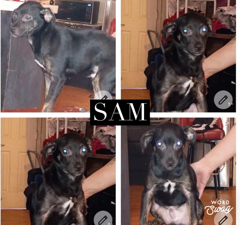 Sam