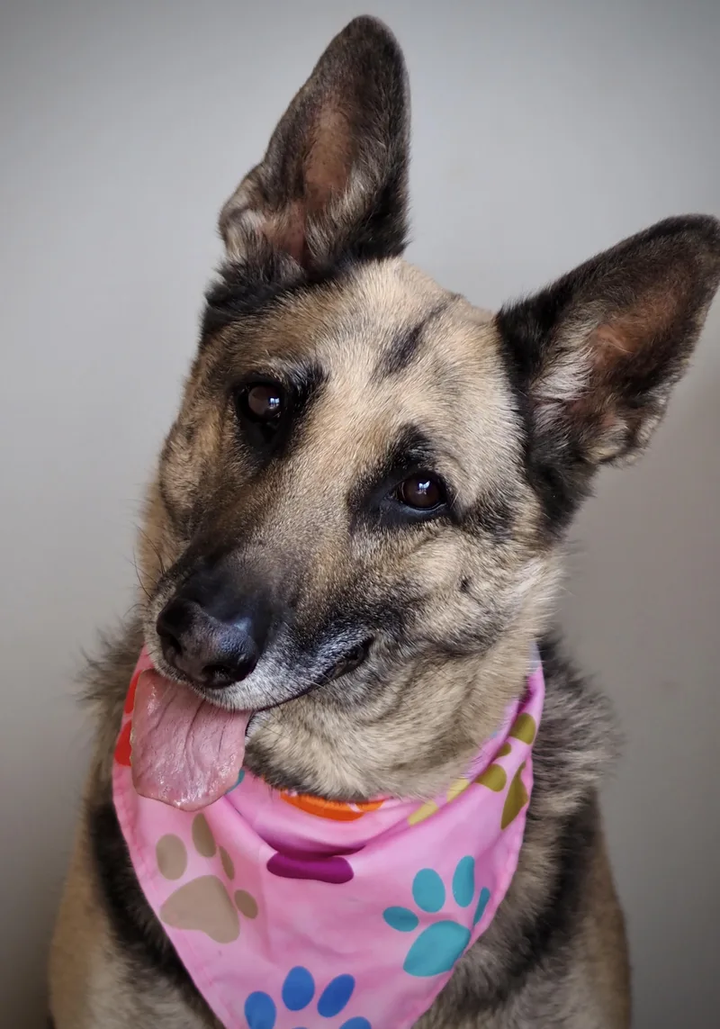 Heidi