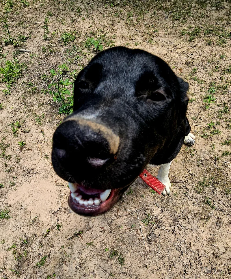 Paxton  Vt thumbnail 4