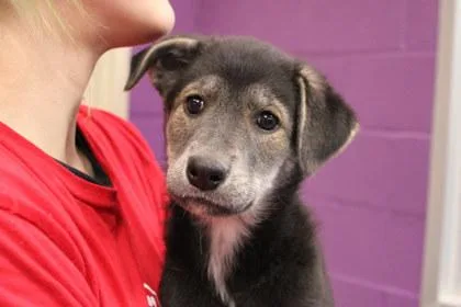 Midnight thumbnail 2