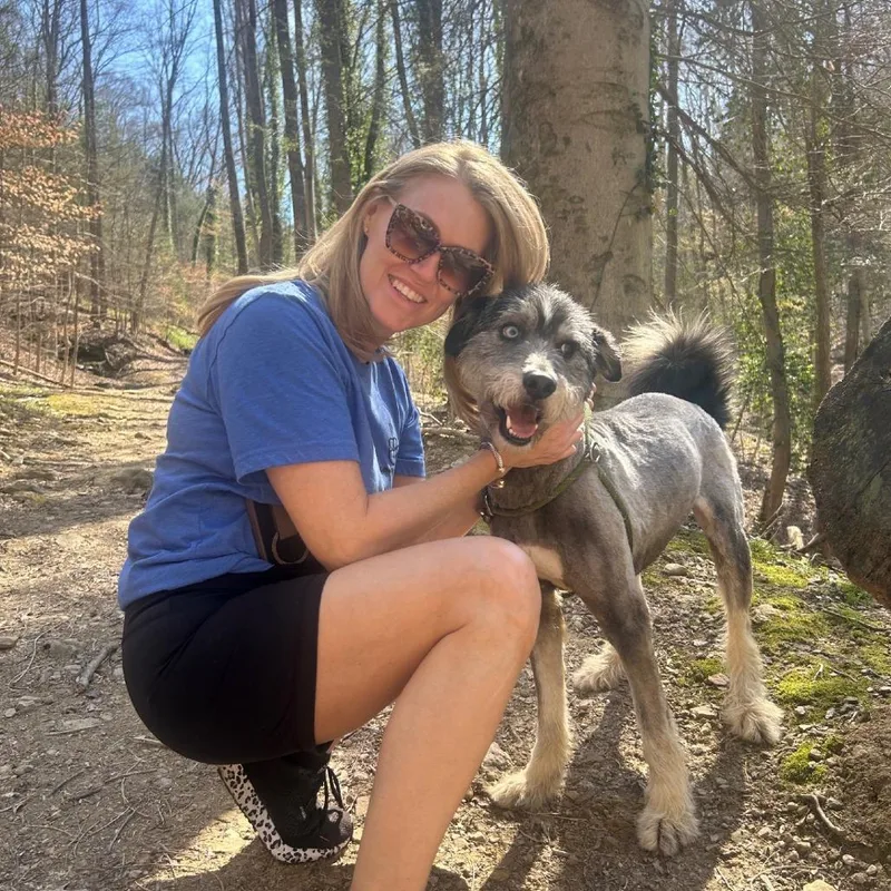 An adult medium-sized male Gray / Blue / Silver Mixed Breed dog named Darwin for adoption in Charleston, WV