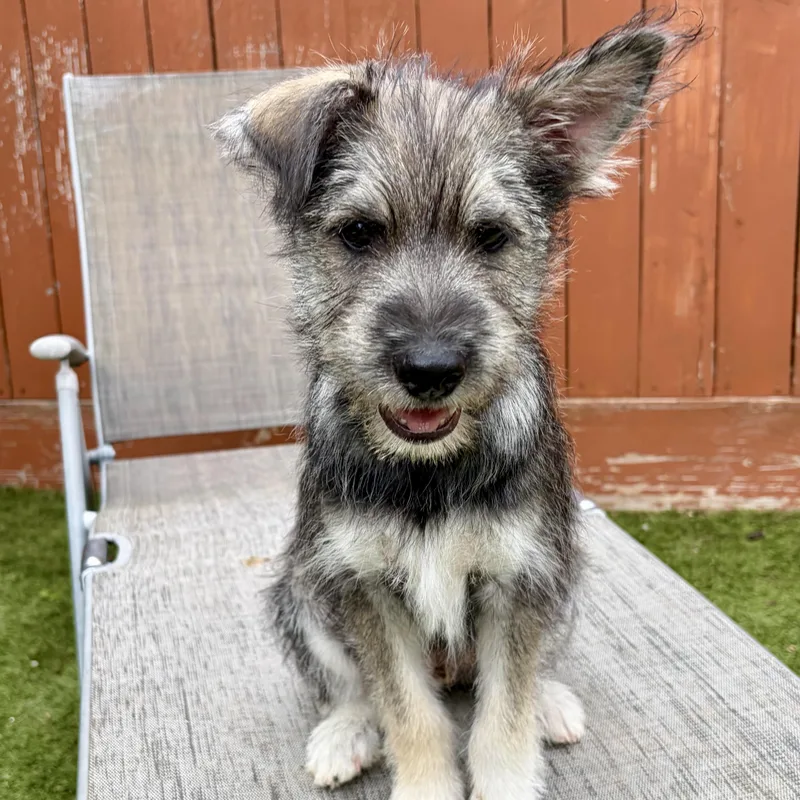 Totally Terrific Tate! Part