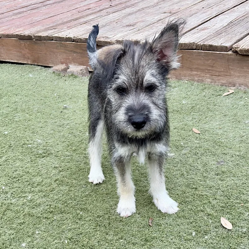 Totally Terrific Tate! Part thumbnail 2