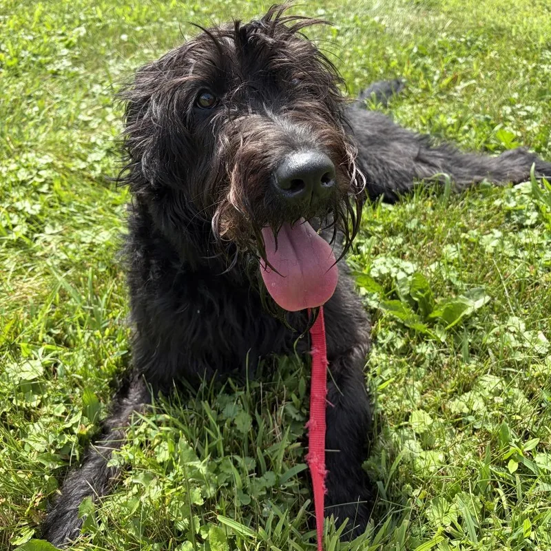 Melanie thumbnail 2