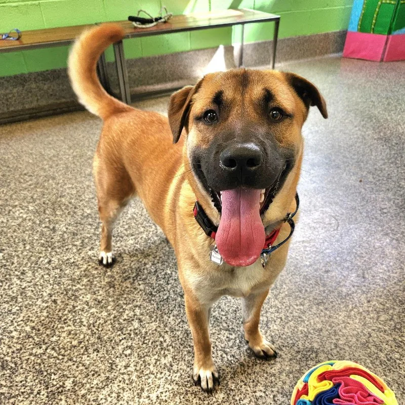 Mortimer thumbnail 2