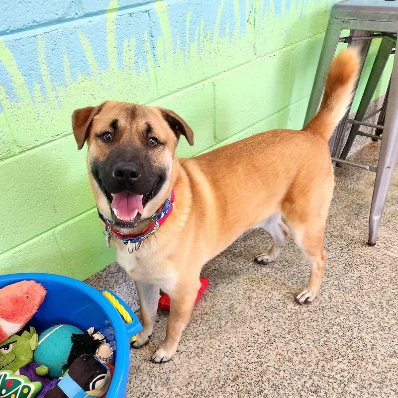 Mortimer thumbnail 4