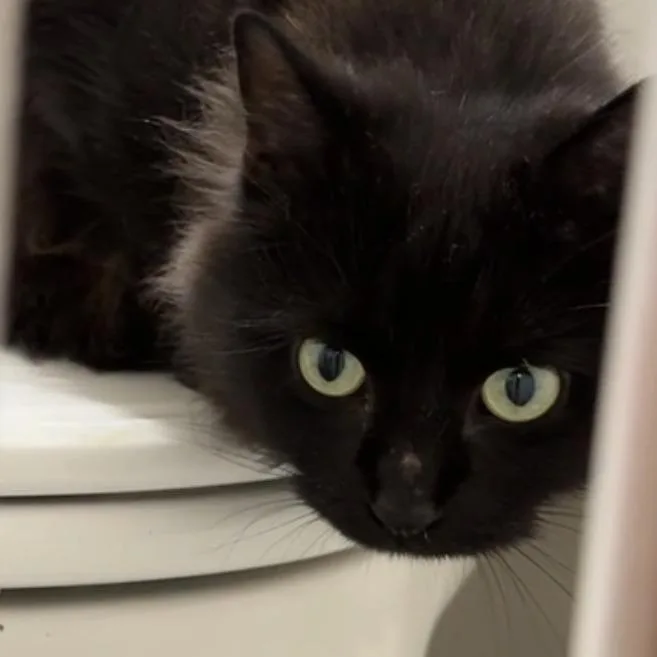 Kahlua Mckenzie thumbnail 2