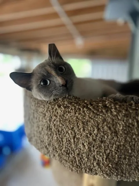 Ellie thumbnail 2