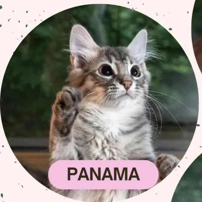 Panama