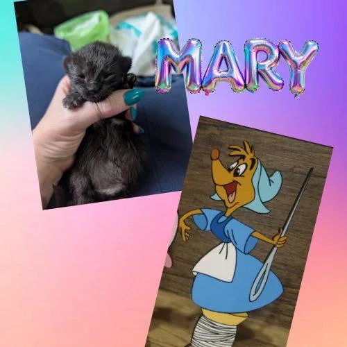 Mary thumbnail 2