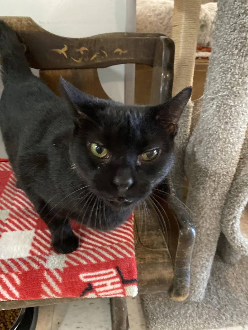 Sabrina