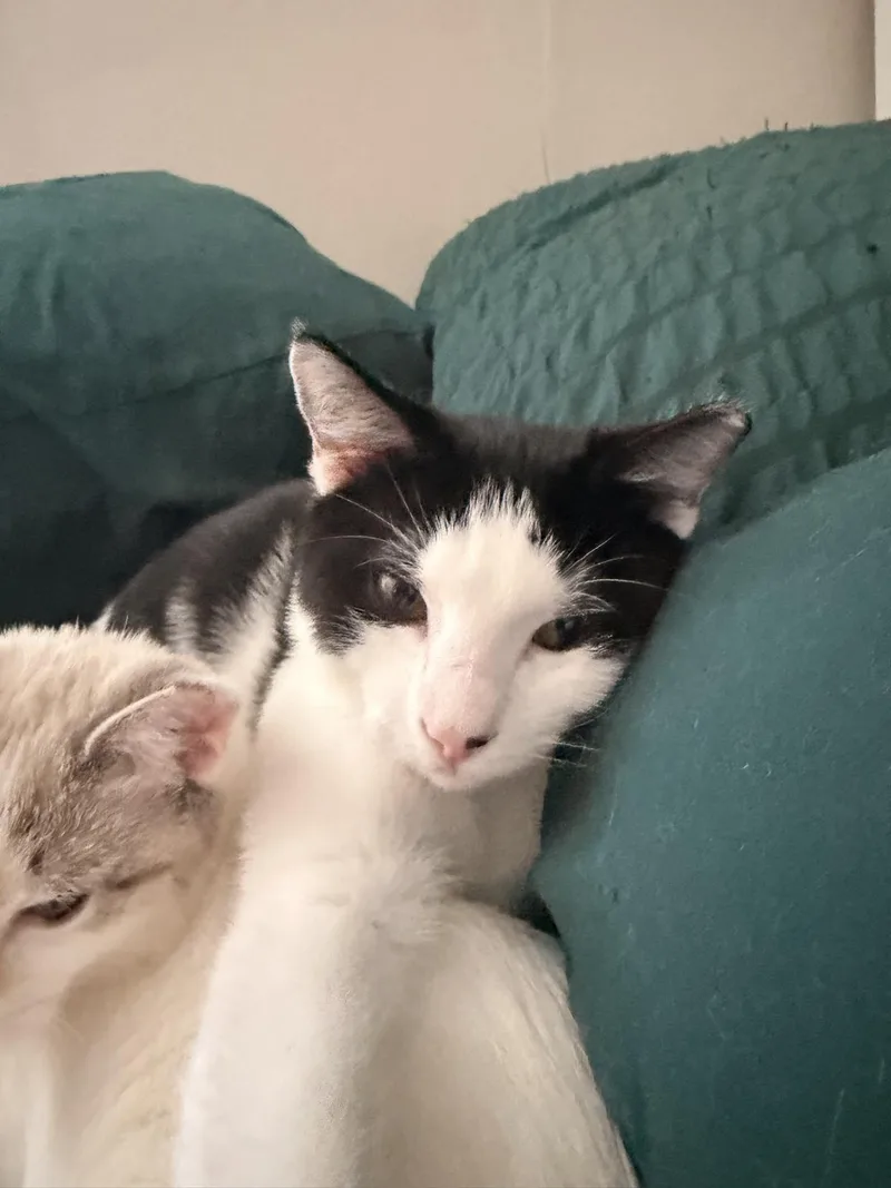 Jeffey and Thomas Bonded thumbnail 2