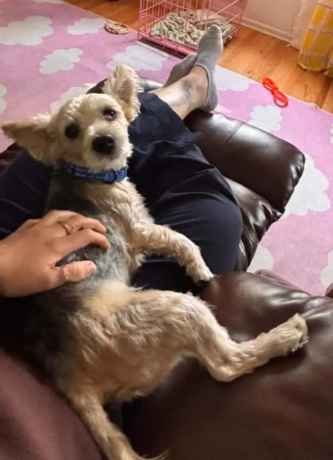 Percy thumbnail 3