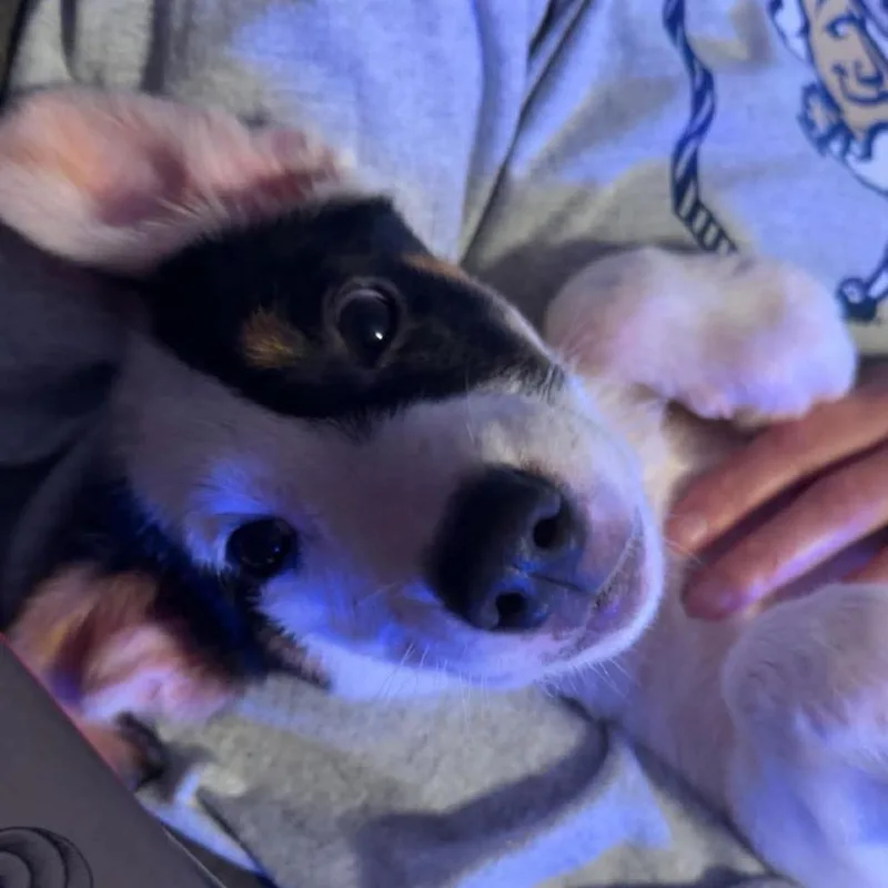 Billy thumbnail 2