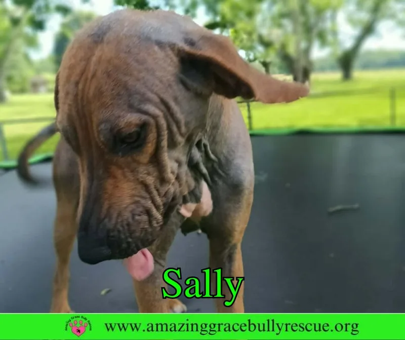 Sally thumbnail 2