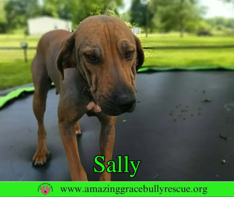 Sally thumbnail 3