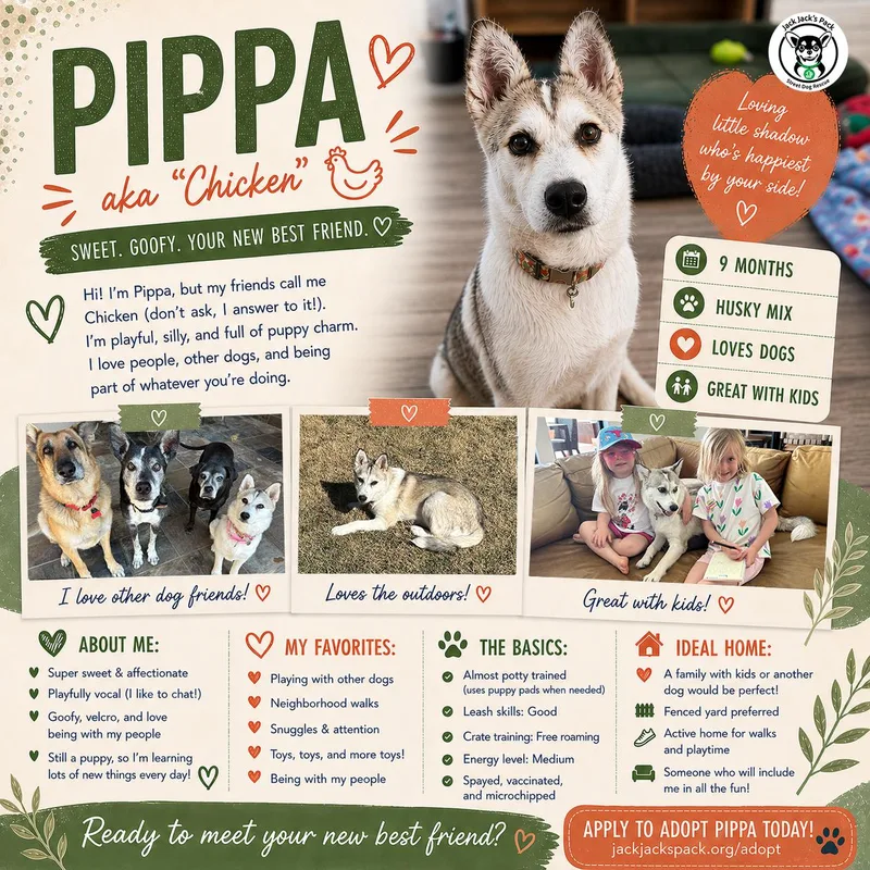 Pippa Aka Chicken thumbnail 4