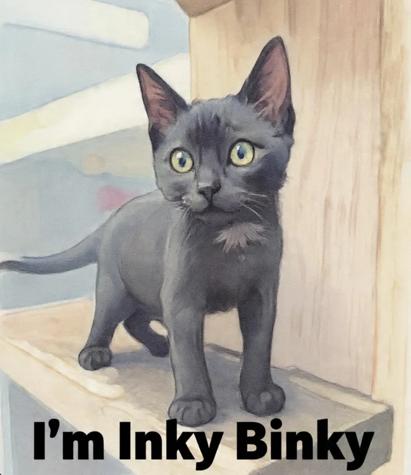 Inky Binky thumbnail 4