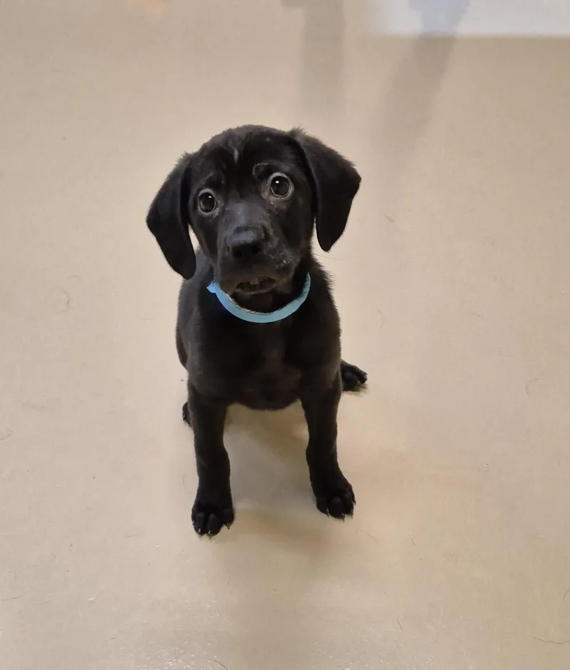 Dr. Grey thumbnail 2