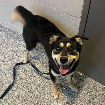 Hamuel L. Jackson thumbnail 2