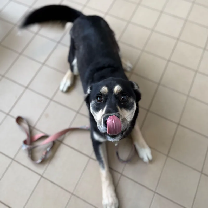 Hamuel L. Jackson thumbnail 3