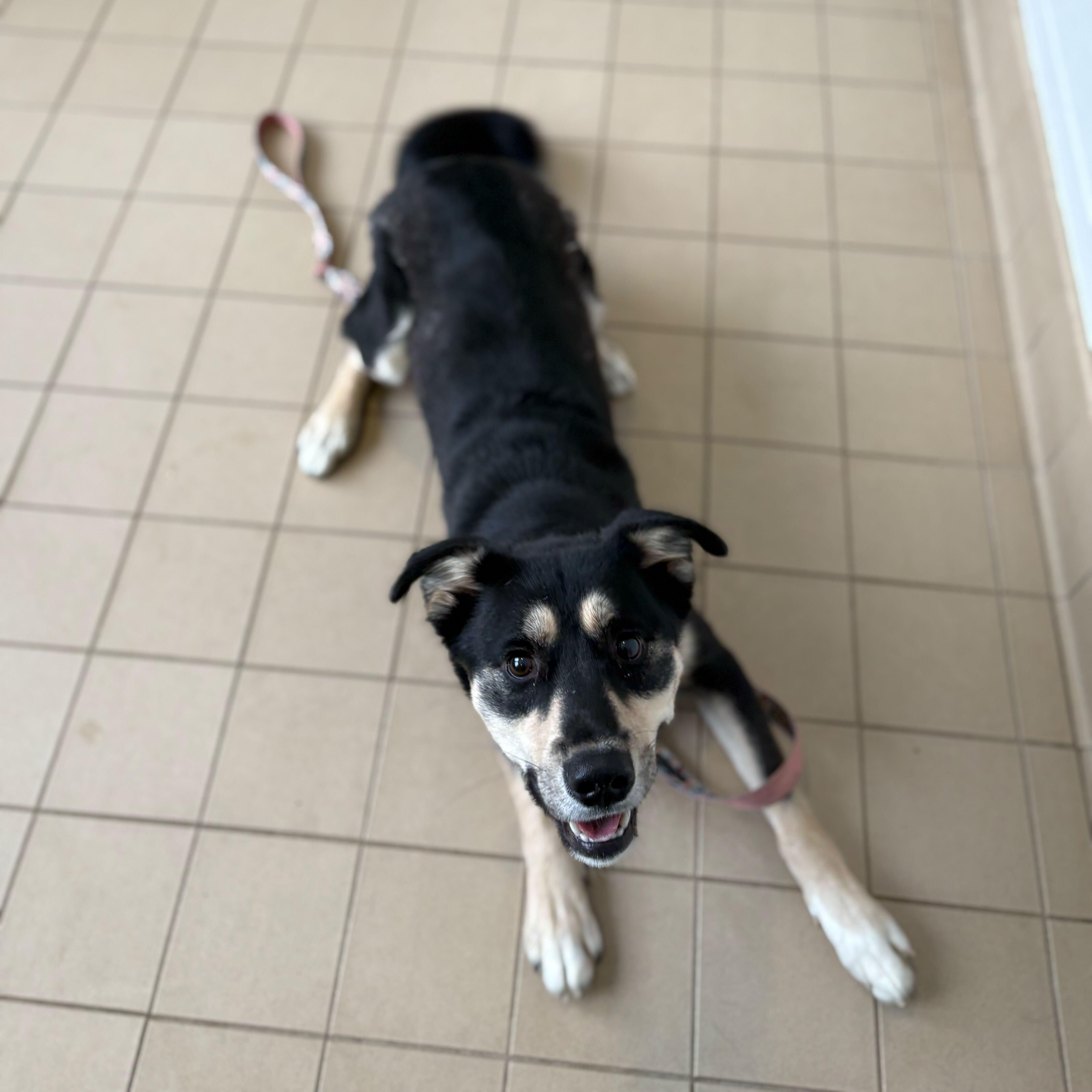 Hamuel L. Jackson thumbnail 5