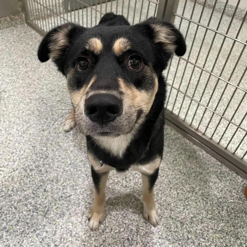 Hamuel L. Jackson thumbnail 6