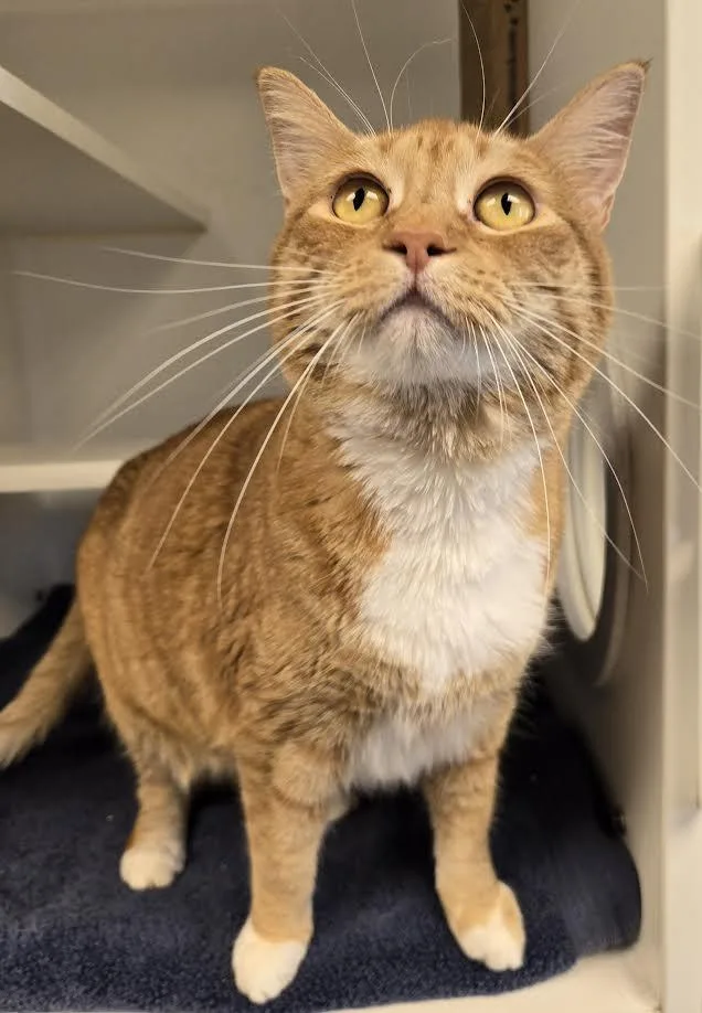 Hazel And Gori thumbnail 2