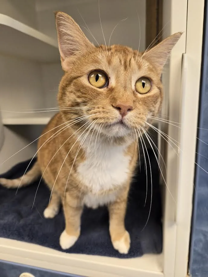 Hazel And Gori thumbnail 4