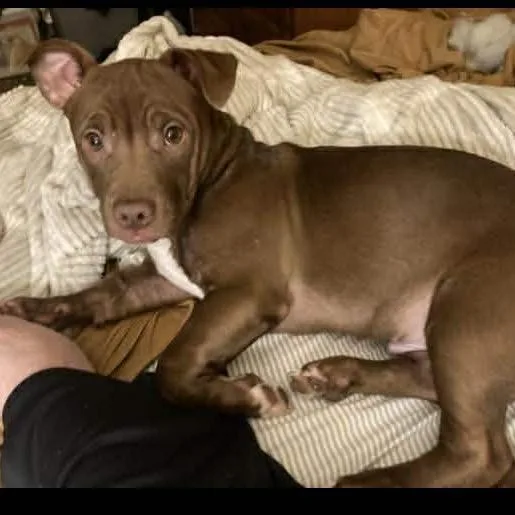 Duke