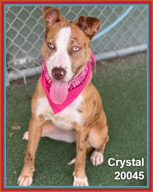 Crystal thumbnail 3