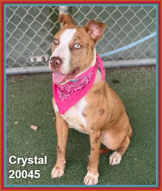 Crystal thumbnail 4
