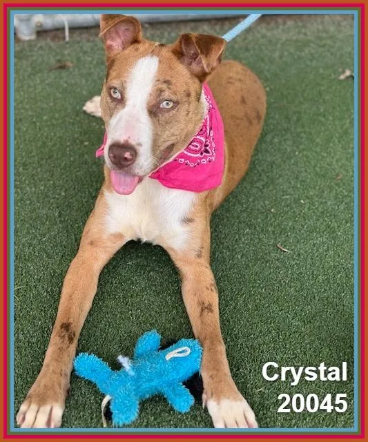 Crystal thumbnail 6