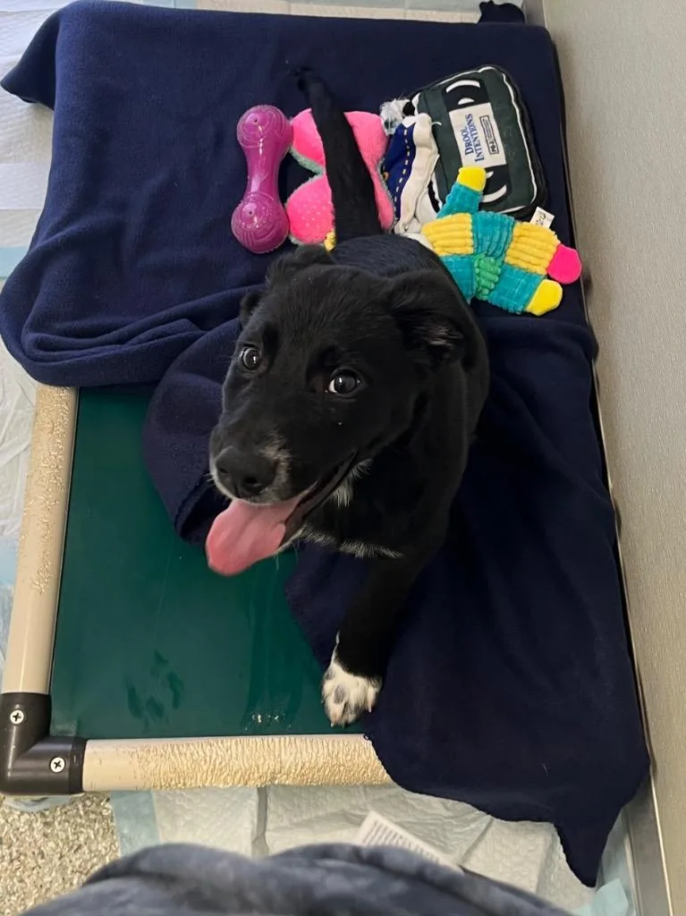 Wreck It Ralph thumbnail 3