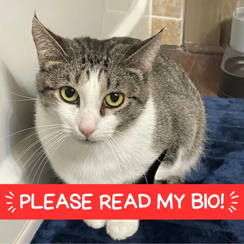 Mama Posie New Mexico thumbnail 3