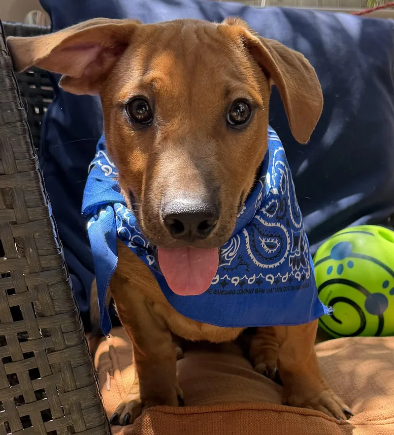 Milo