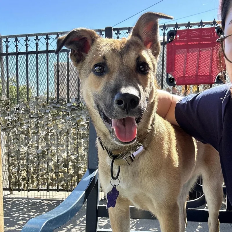 Trinidad thumbnail 2